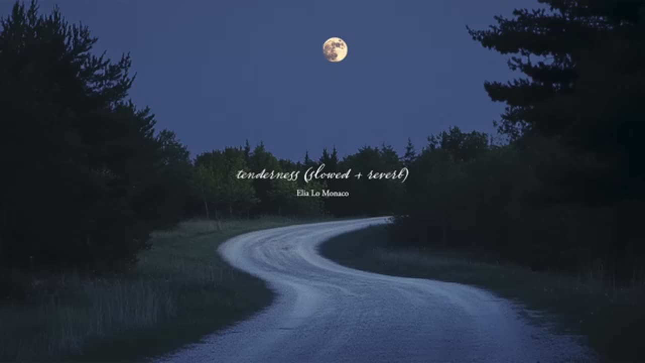 A quiet playlist for summer nights (reading/studying)