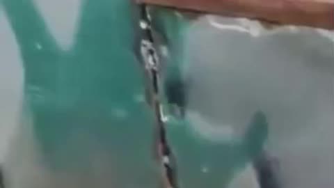 Russian Soldier Seems More Concerned About Vehicle then Comrades