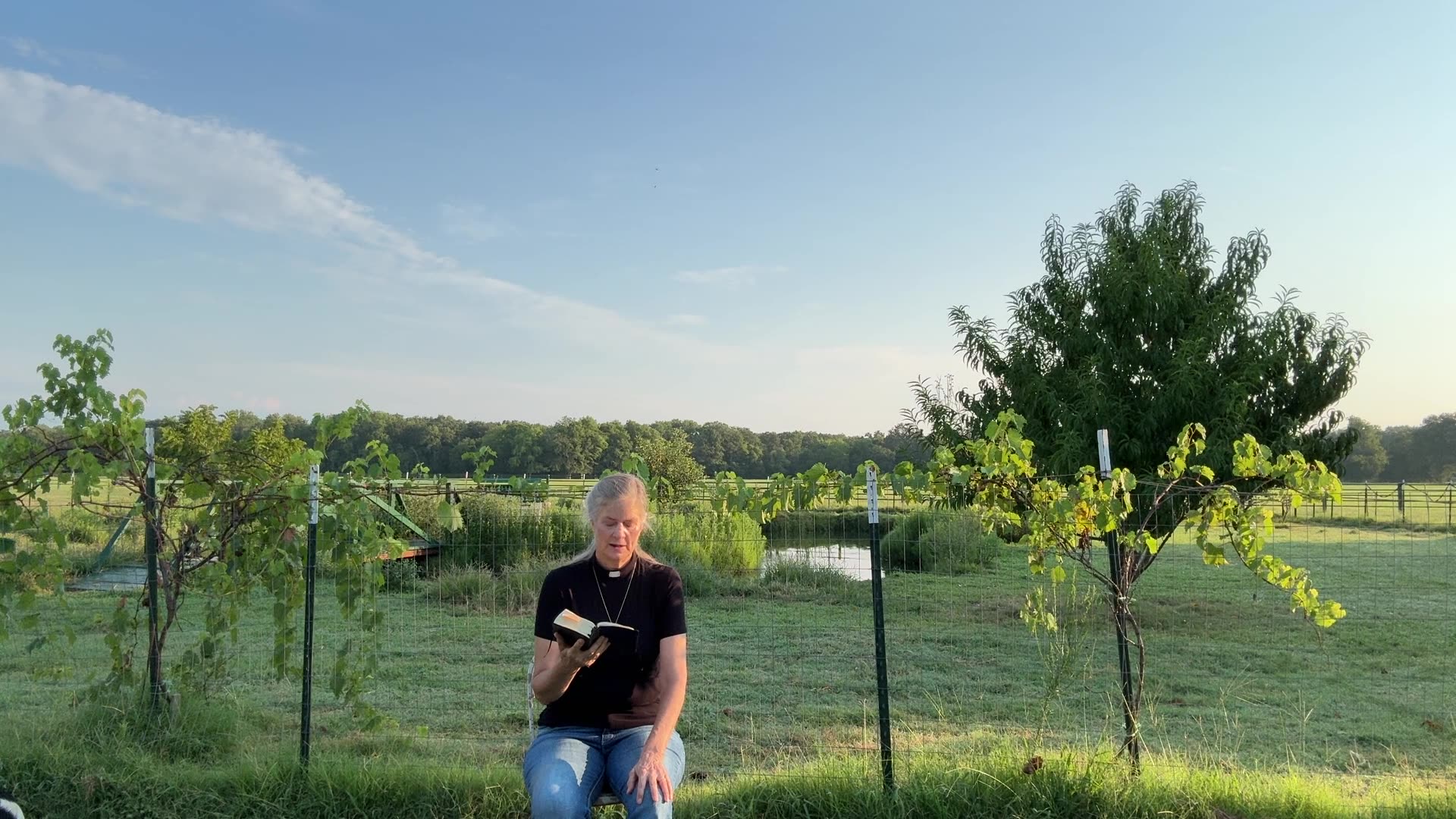 Morning Prayer, Daily Office