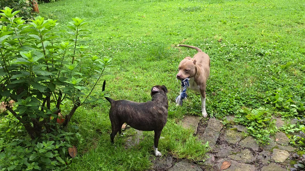 George meets Honey