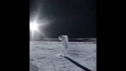 Elon Vs Trump