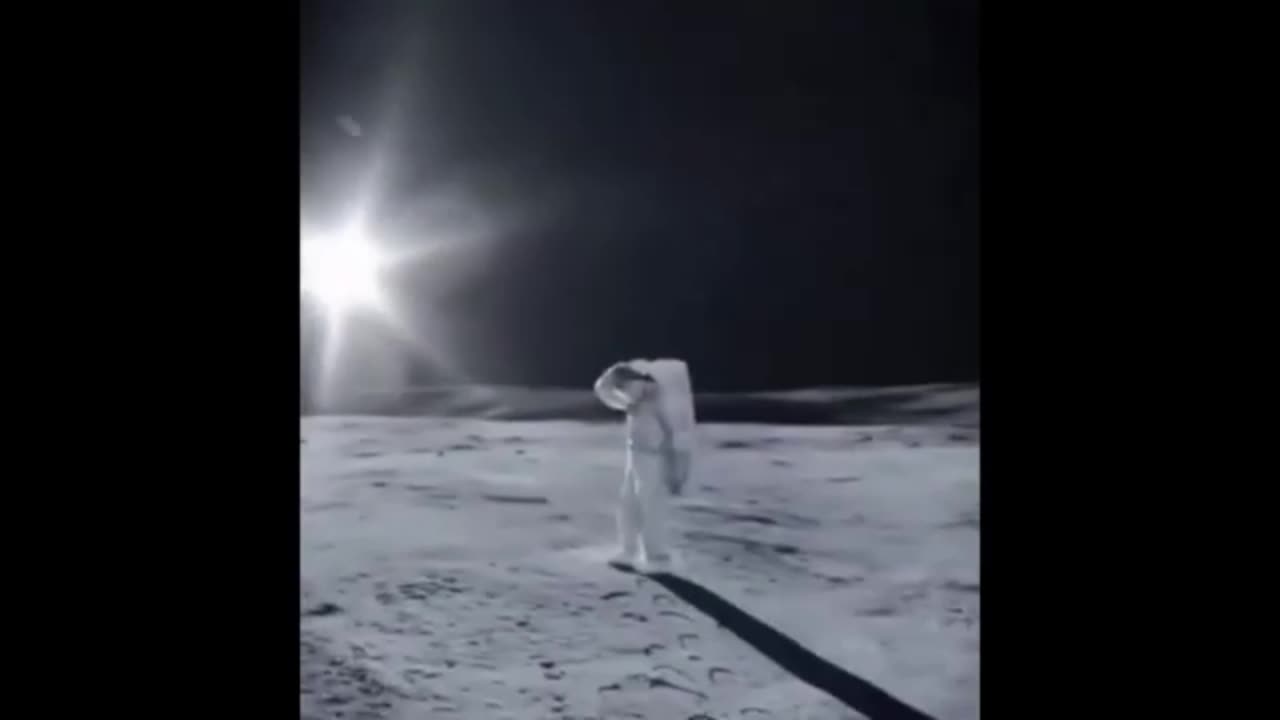 Elon Vs Trump