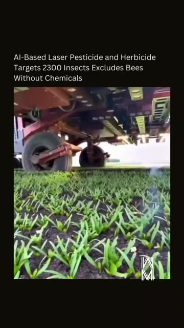 Confidence Boost | Own the Room 💼😎