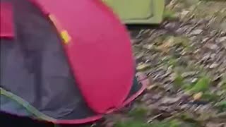 Dublin Shanty towns fills with illegal migrants are back in Dublin.