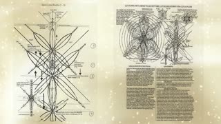 Activating the Lotus Seed