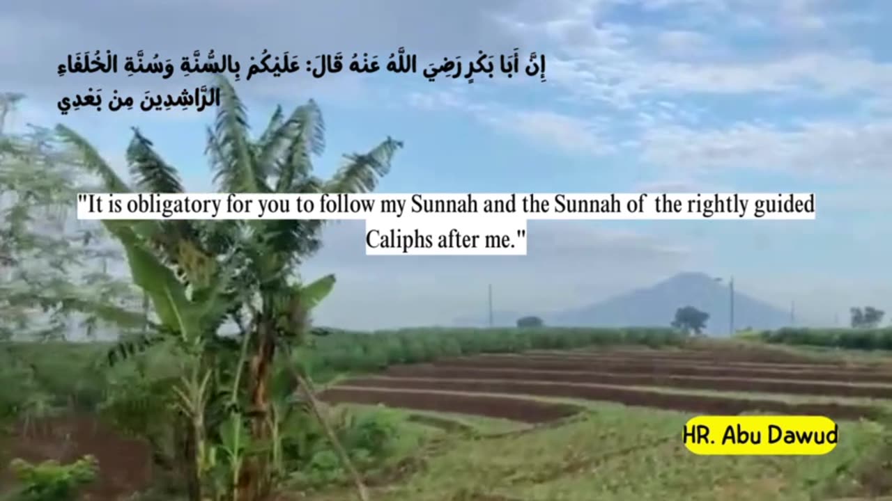 Partly about the Islamic religion 12