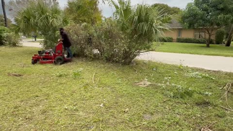Property Cleaning Exposed a Huge Hazard to the Local Community P3