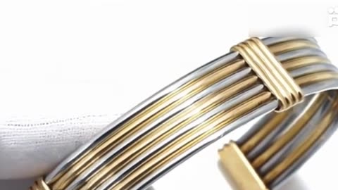 Authentic Cartier Bicolor Bracelet – 18K Yellow Gold & Stainless Steel | Short Video