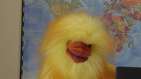The Puppets are at the G7, while the real influencers are attending Bilderberg group in Sweden.