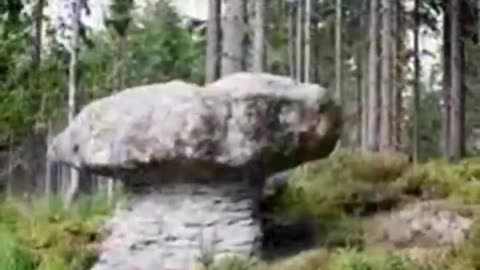 GIANT PETRIFIED MUSHROOMS
