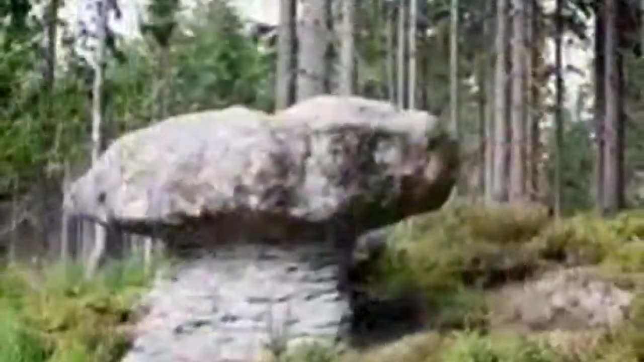 GIANT PETRIFIED MUSHROOMS