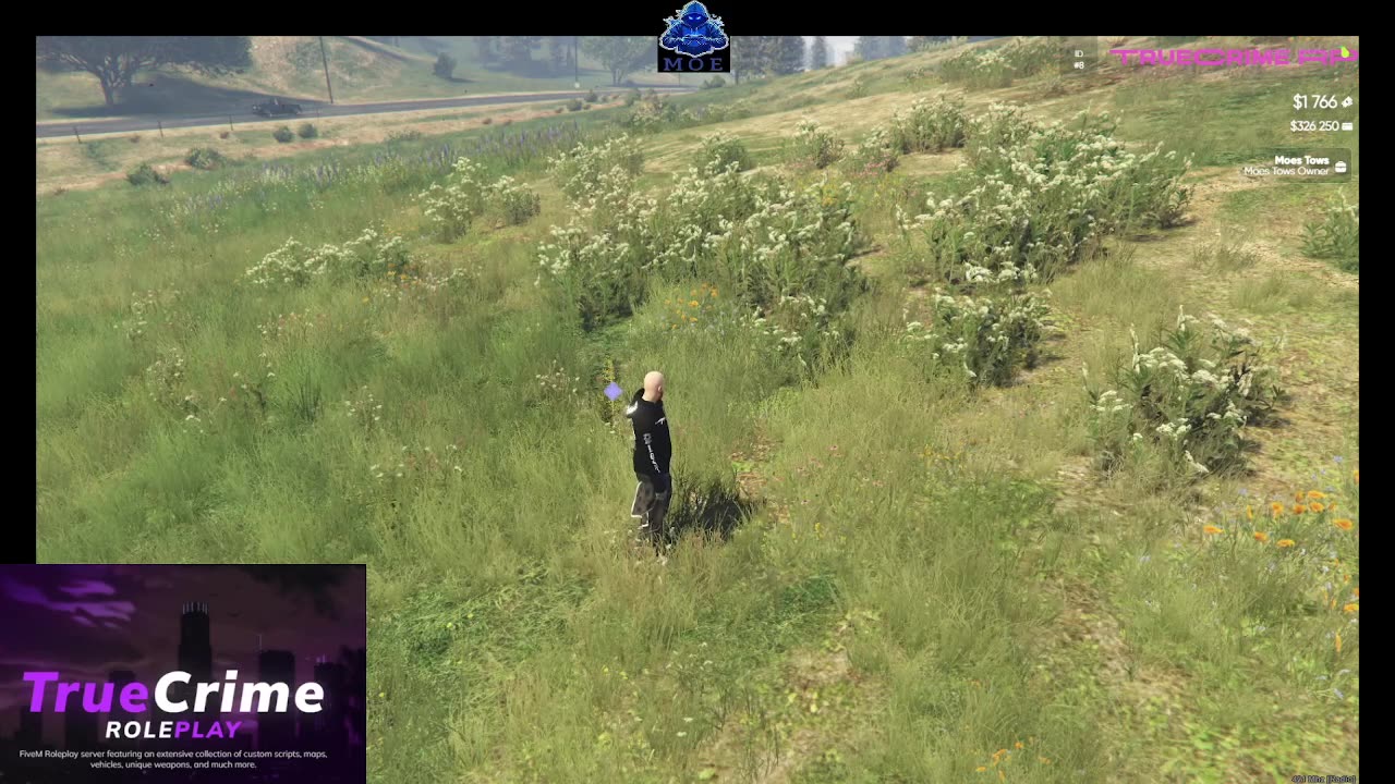 TRUE CRIME RP GTA FIVEM