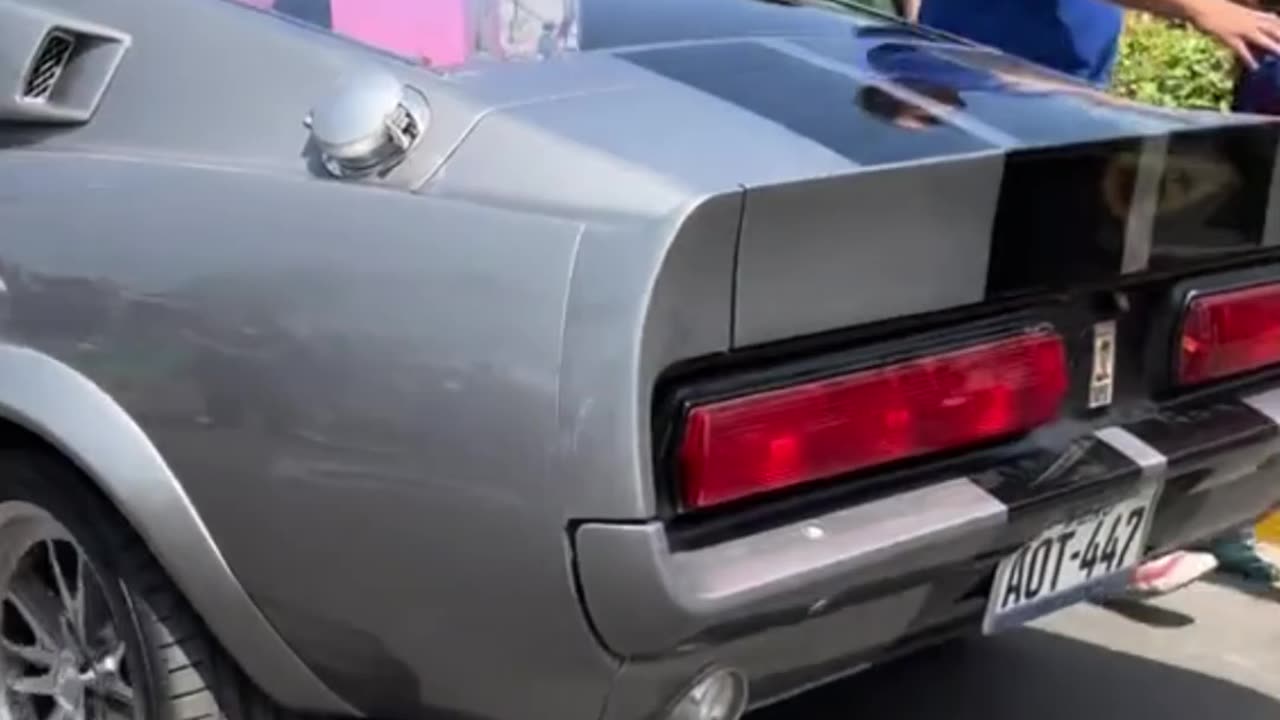 Mustang GT 1967