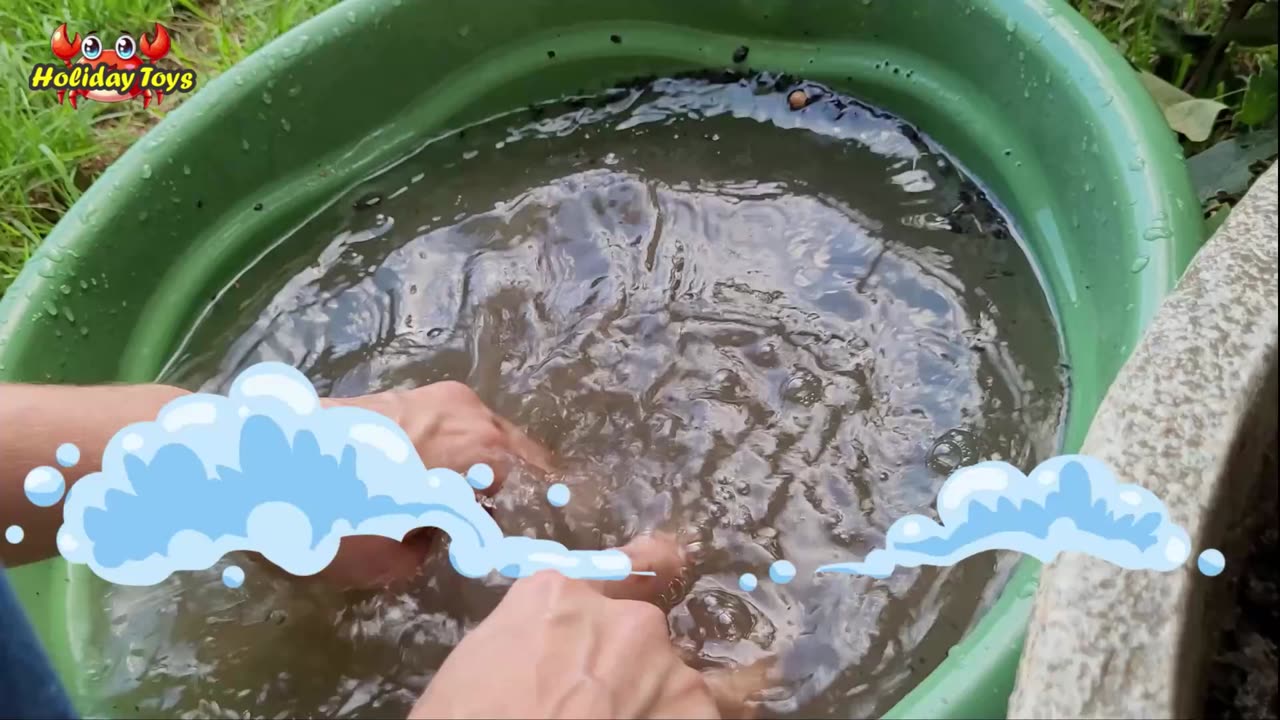 Crocodiles Dig the Ground to Make Holes to Lay Eggs