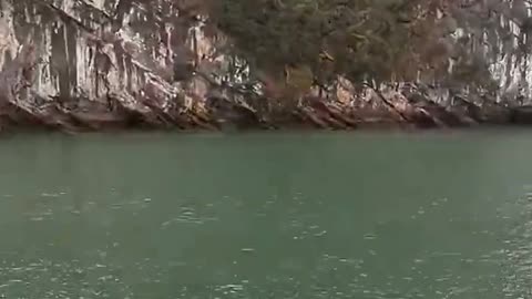 Daily Horoscope | Gemini 🌟