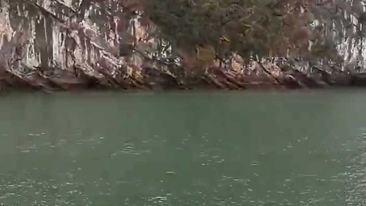 Daily Horoscope | Gemini 🌟