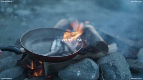 Rebuilding Capelin Critical For Communities