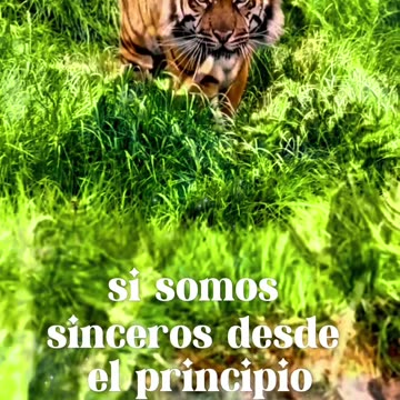 ORACIÓN 😇 🫠 🤍