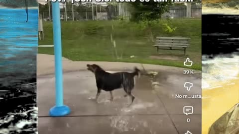 Just shorts videos - Follow 😜😋!!!!!!!