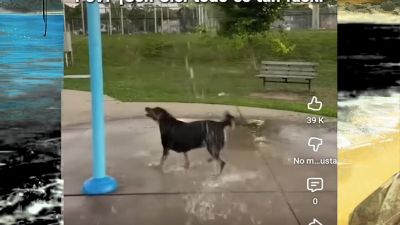 Just shorts videos - Follow 😜😋!!!!!!!