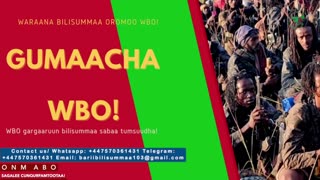 Gabaasa Gumaacha ONM-ABO Adoolessa 18-2025 itti dhiyaadhaa!