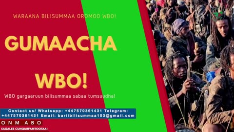 Gabaasa Gumaacha ONM-ABO Adoolessa 18-2025 itti dhiyaadhaa!