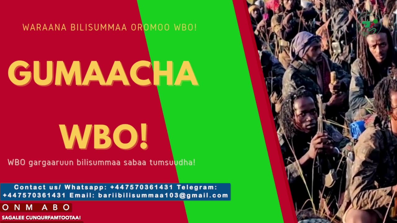 Gabaasa Gumaacha ONM-ABO Adoolessa 18-2025 itti dhiyaadhaa!