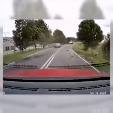 W poniedziałek Renault zderzyło się czołowo z ciężarówką. Zginął 53-letni kierowca