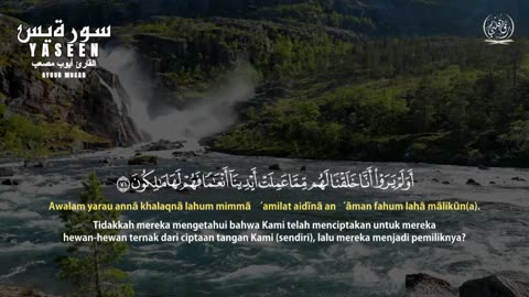 سورة يس مكررة للقارئ أيوب مصعب | Surat Ya-Sin repeated Ayoub Musaab