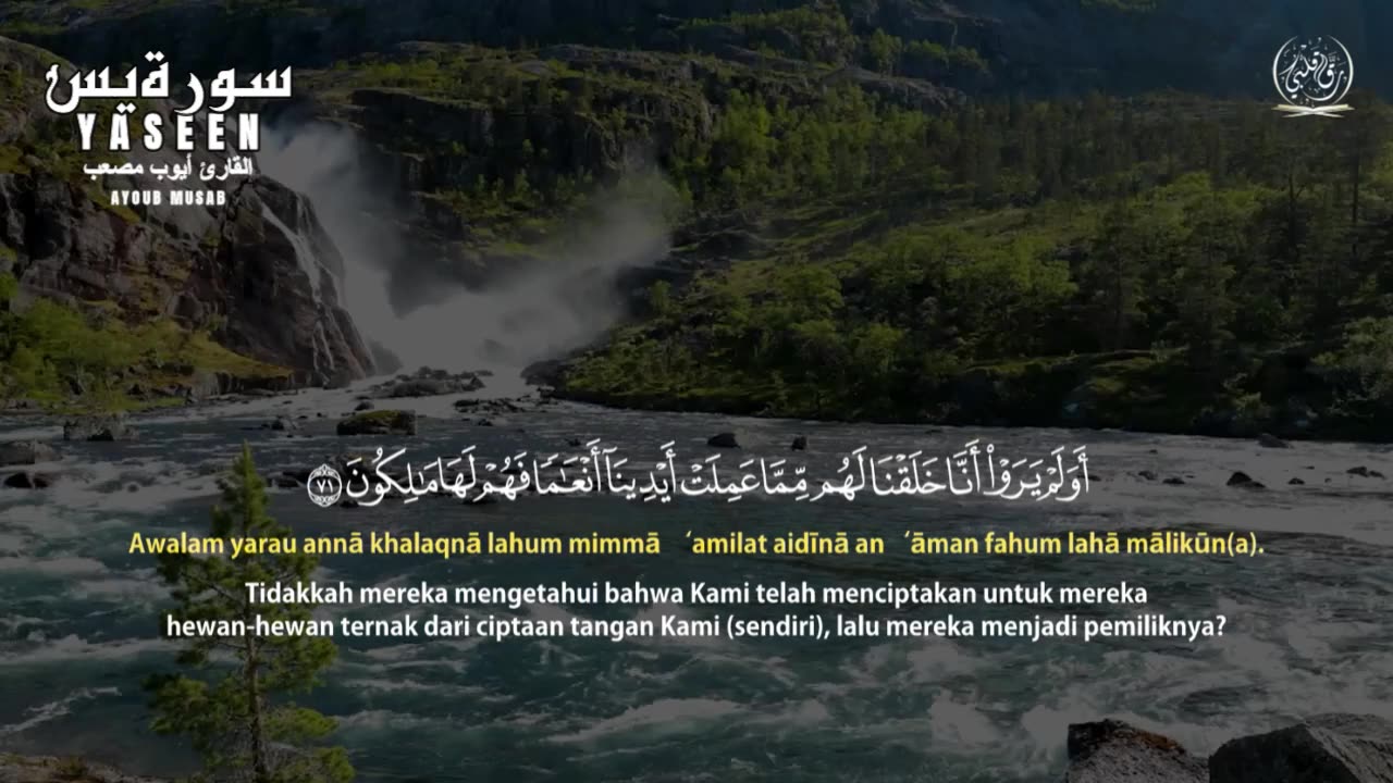 سورة يس مكررة للقارئ أيوب مصعب | Surat Ya-Sin repeated Ayoub Musaab