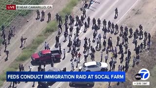 DHS Blackhawks landing at weed farms while agents arrest illegals and NG troops and Marines
