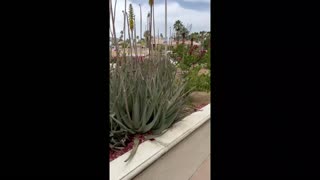 Suspect dead in explosion at American Reproductive Centers in Palm Springs