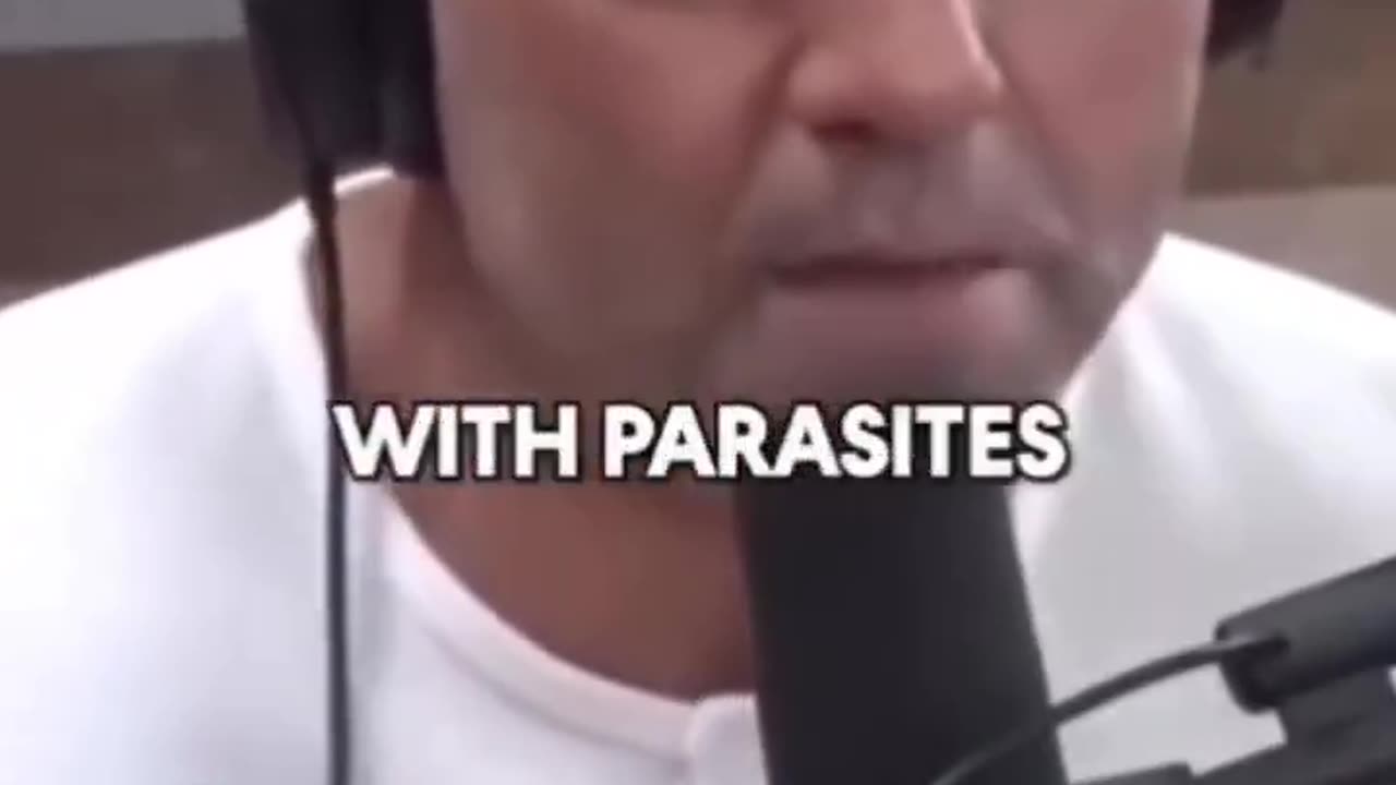 How A Worm Gave The South A Bad Name...