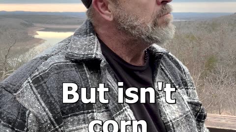 Corn
