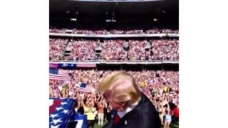 Trump vibe