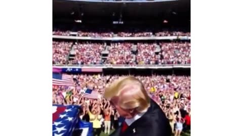 Trump vibe