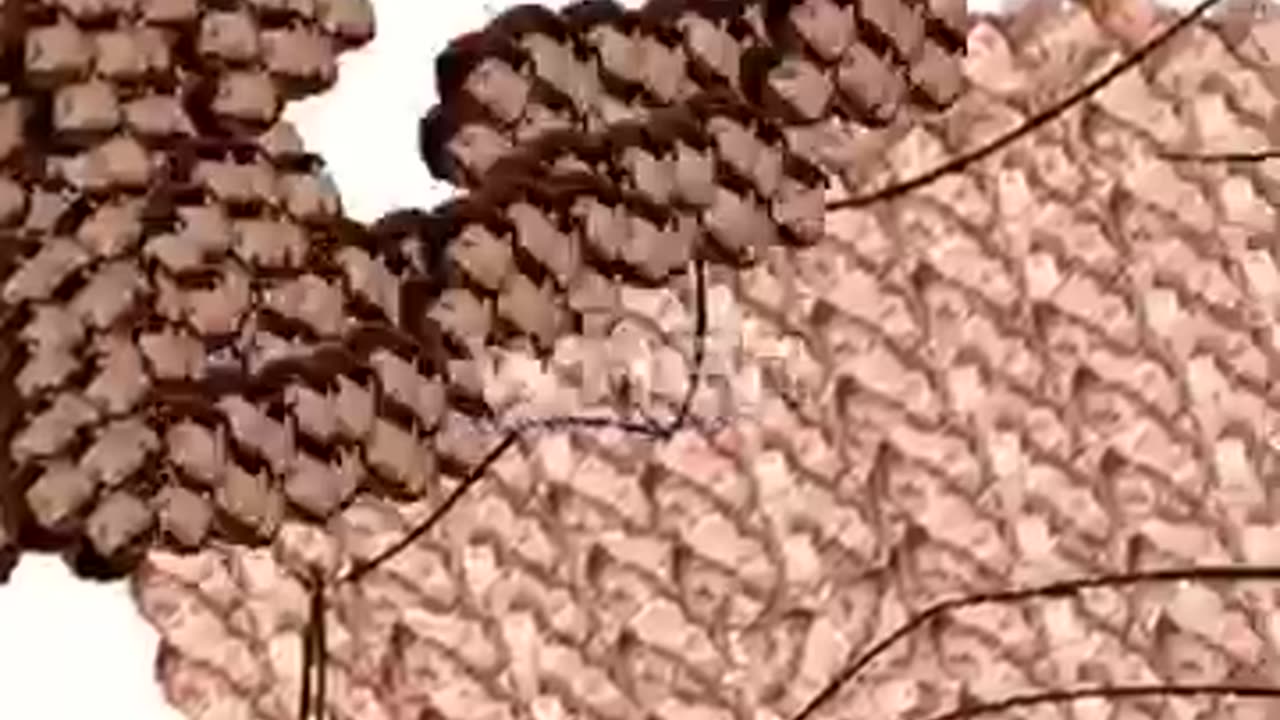Shocking: I Made MrBeast Only Using His Friends' Faces