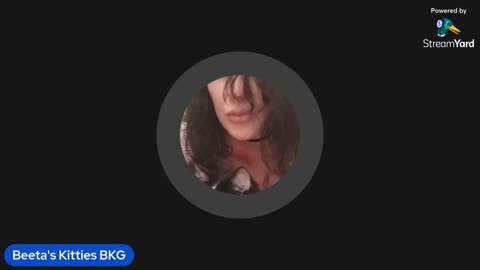 07/11/25 Beeta's Kitties VOD: "Pa tha tics kate 😆 hi kate 😊"
