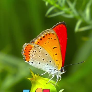 😊 111 CREER CAMBIA LO POSIBLE Marcos 9:23 😊