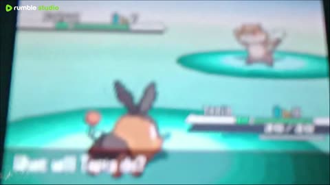 Pokémon Black