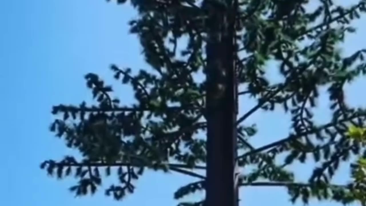 5G