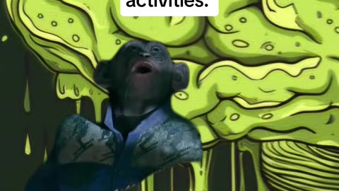 A severe case of brainrot