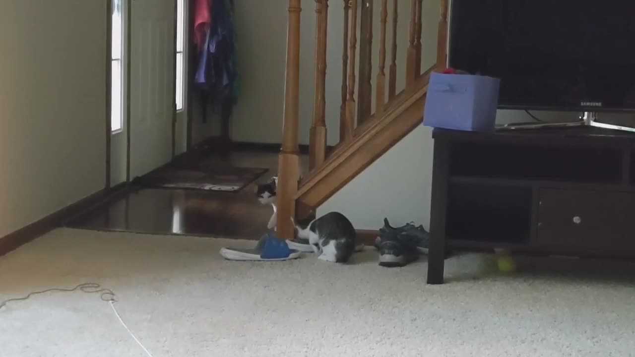 🤭👀 Sneaky Brother Caught in the Act! | FunFM