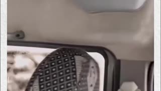 Bro came and go