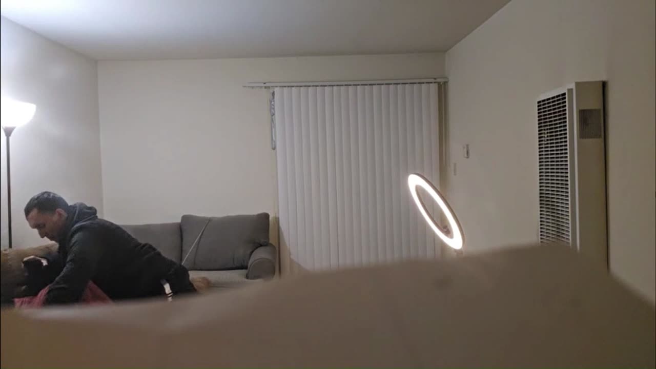 IP2 Stories - Empathy & Brandon Fighting Saga