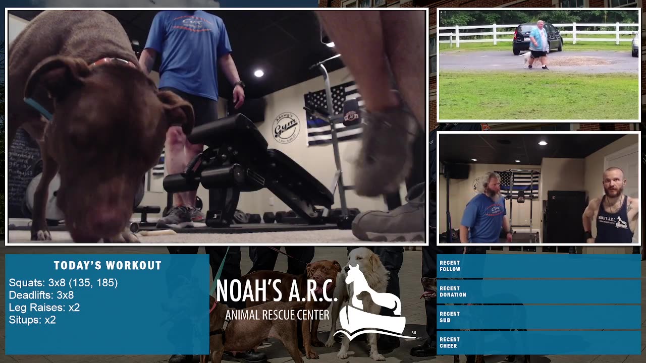 LBL Session w/Finley & Dufus [Week 13] - No Skip Leg Day! // Animal Rescue Stream :)