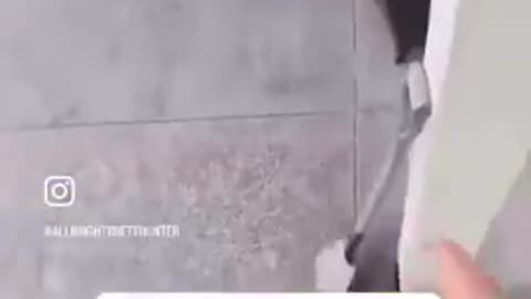 This Neighbor Never Picks Up After Her Dog!