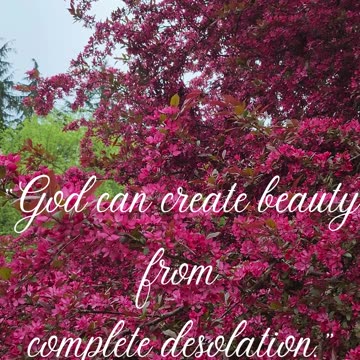 Beauty From Desolation