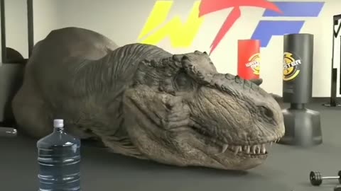 Dinasour vs Human