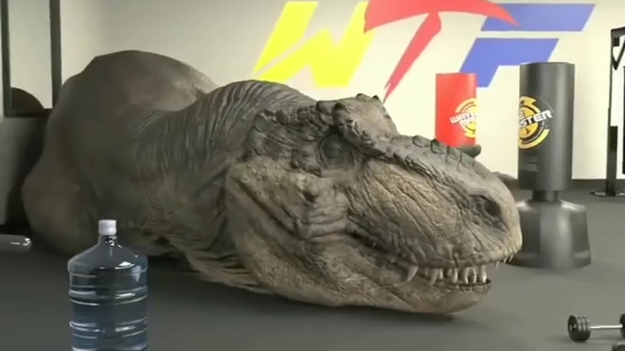 Dinasour vs Human